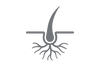 hair root icon